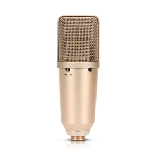 YUEPU U87 Studio Condenser Microphone Professional Large Diaphragm High Sensitivity for Computer Video Recording Phantom Power