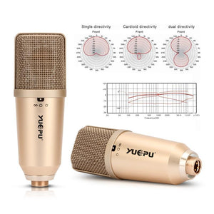 YUEPU U87 Studio Condenser Microphone Professional Large Diaphragm High Sensitivity for Computer Video Recording Phantom Power